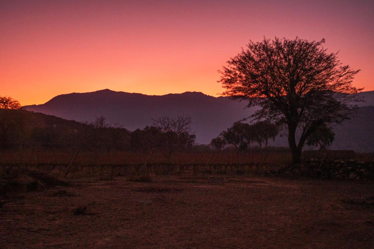Hospedaje Finca La Encantada Seclantas ภายนอก รูปภาพ