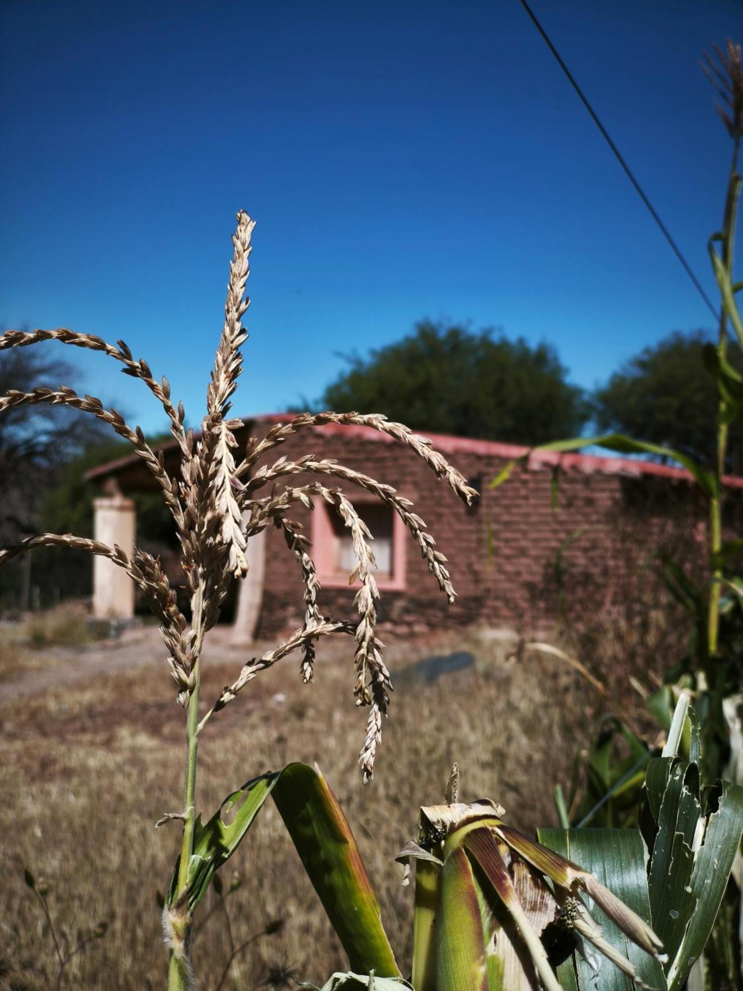 Hospedaje Finca La Encantada Seclantas ภายนอก รูปภาพ